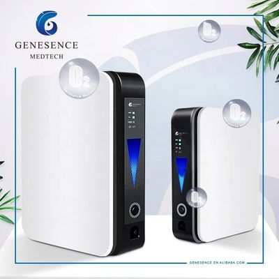 qualité  For Home Use 1L Mini Flow Portable In-car Oxygen Concentrator, Home Oxygen Making Machine, Nebulizer Machine usine