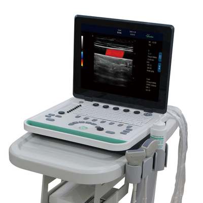 C5Pre Portable Laptop Color 15 Inch LCD High Resolution Doppler Ultrasound Machine